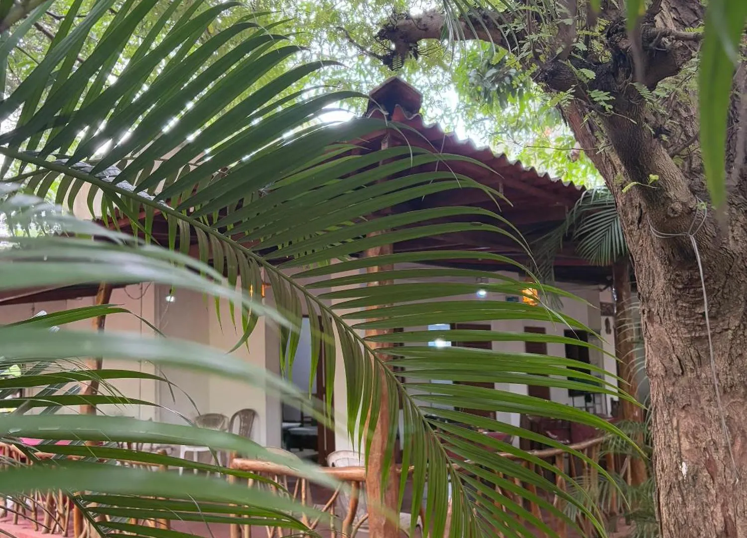 Habarana Bed And Breakfast Guest house