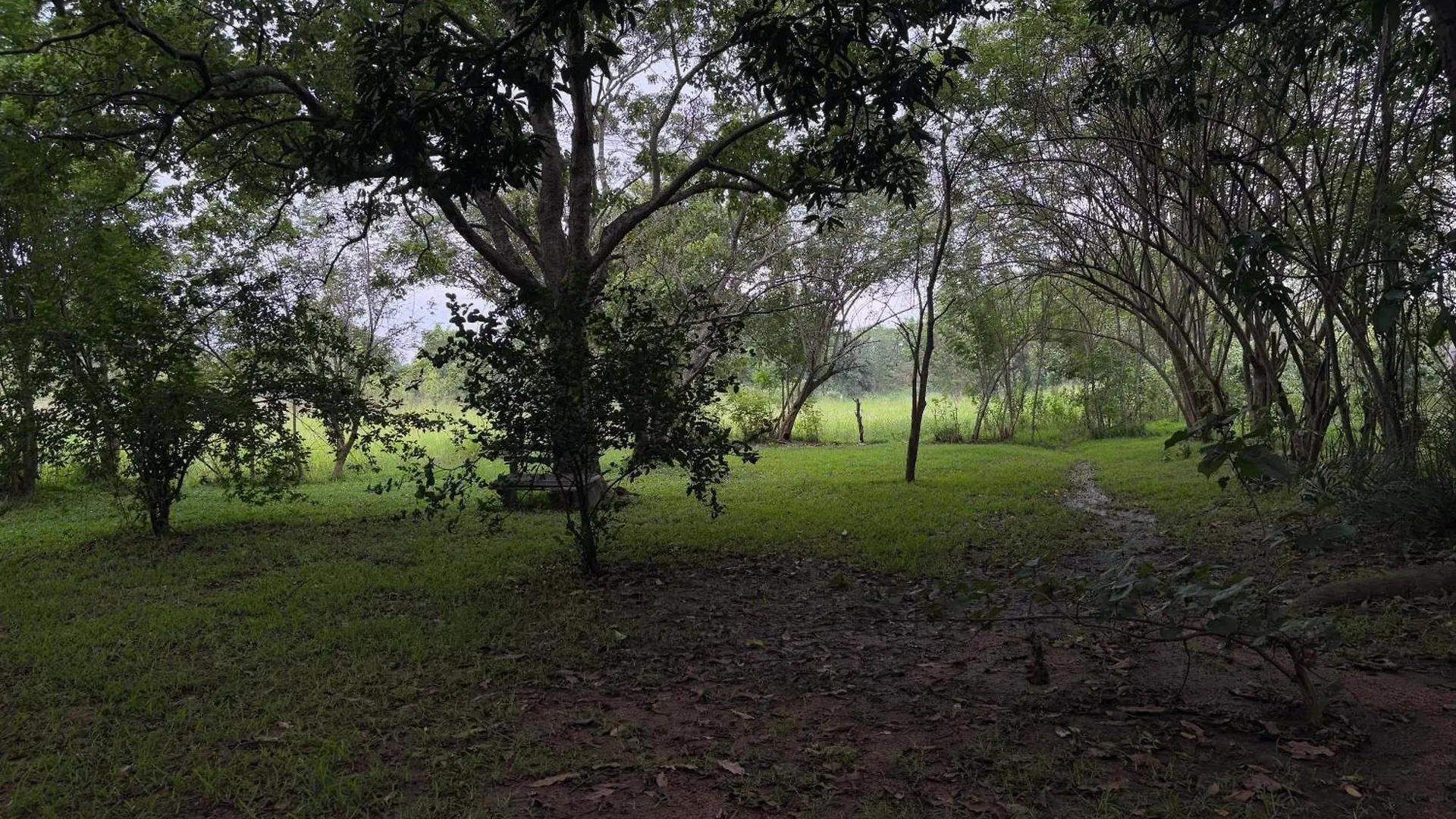 Habarana Bed And Breakfast 0*,  Sri Lanka